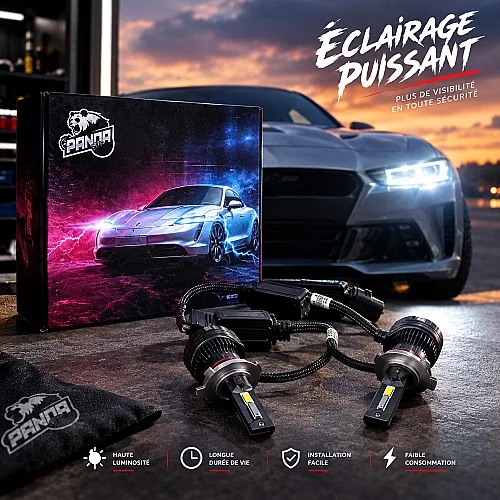 صورة kit d'ampoules de phares LED Panda Q6 1